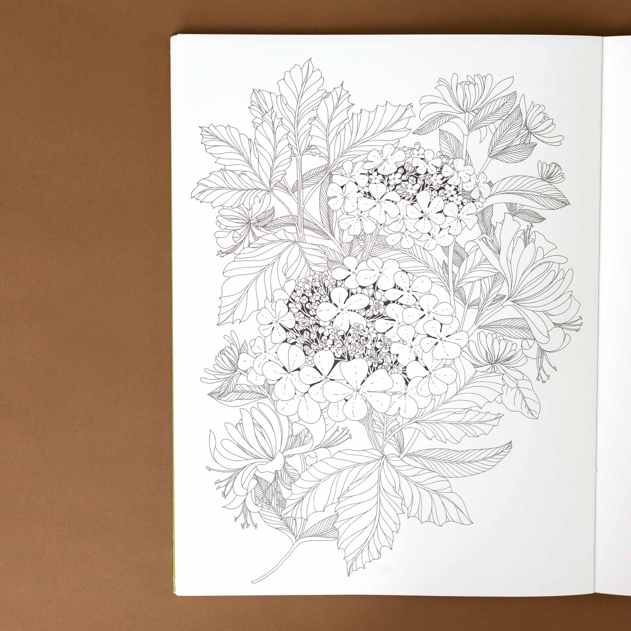 walk-in-the-woods-an-intricate-coloring-book-with-flora-and-fauna-in-black-and-white