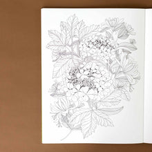 Load image into Gallery viewer, walk-in-the-woods-an-intricate-coloring-book-with-flora-and-fauna-in-black-and-white