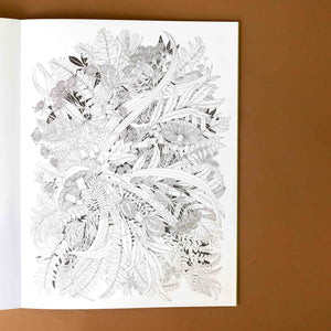 walk-in-the-woods-an-intricate-coloring-book-with-flora-and-fauna-in-black-and-white