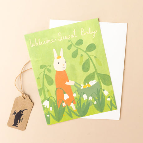 welcome-sweet-baby-bunny-greeting-card-with-mother-bunny-pushing-baby-bunny-in-a-stroller-through-green-lily-of-the-valley