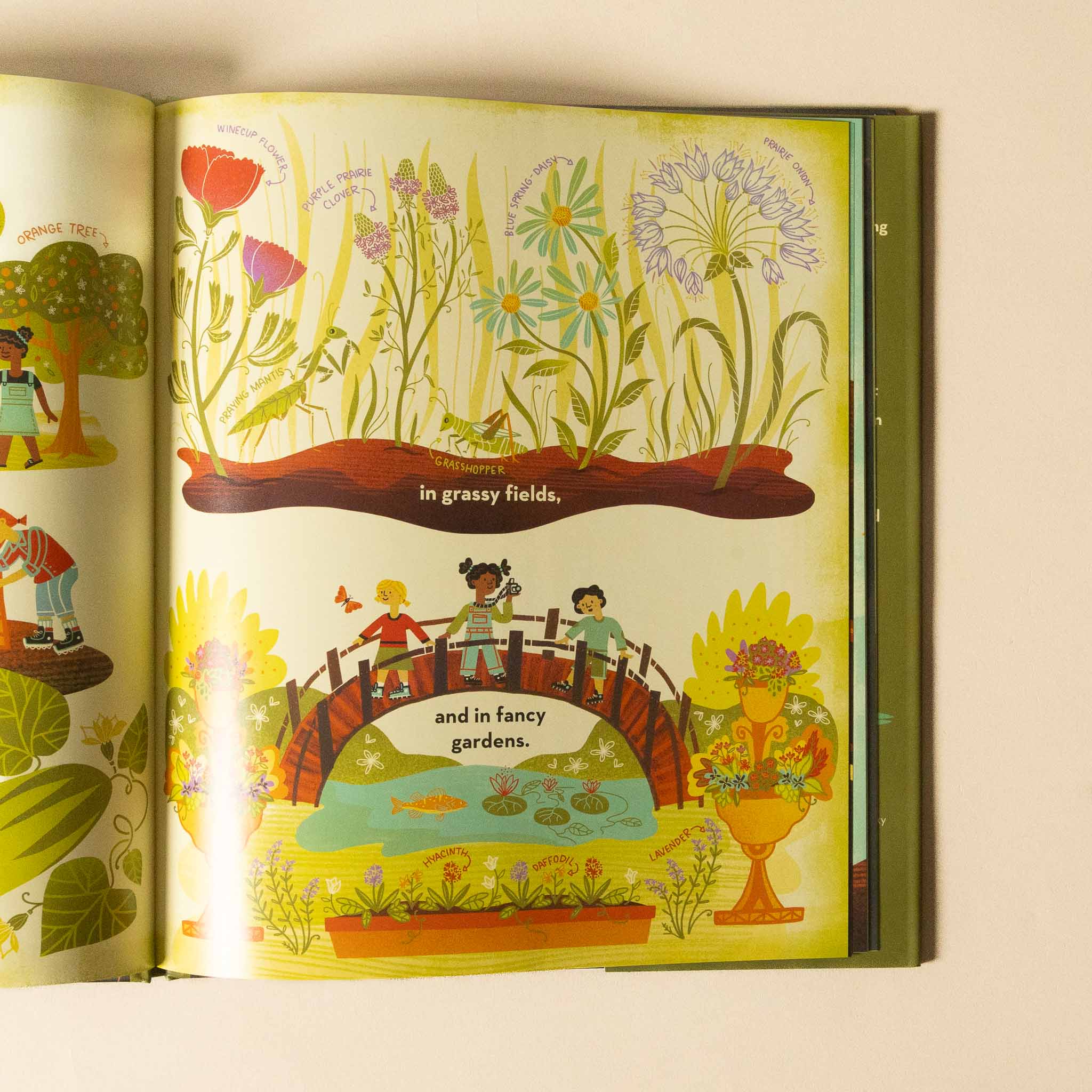 Open whats-inside-a-flower-book with colorful illustrations of children playing and nature on a beige background