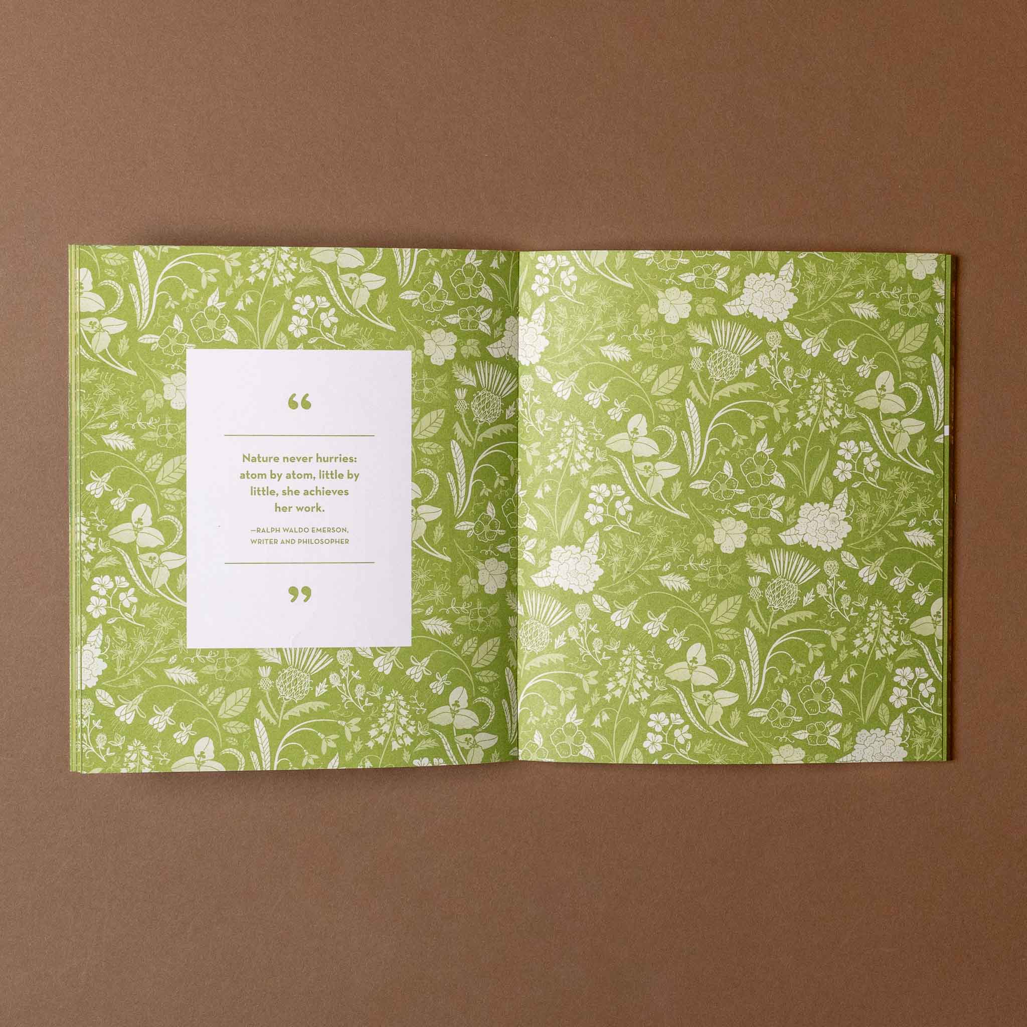 whats-inside-a-garden-stickerology-book Open book with green floral pattern on a brown background