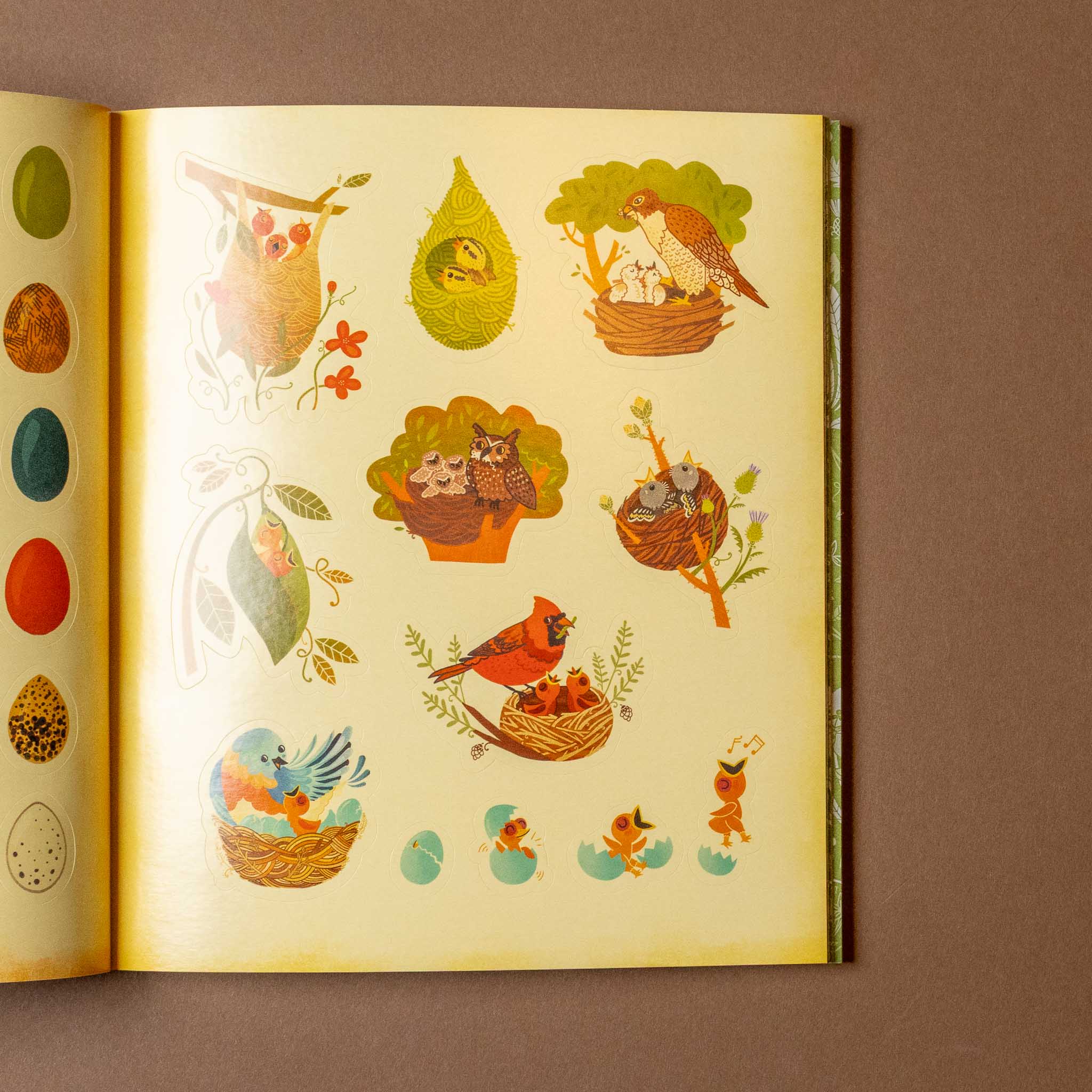 whats-inside-a-garden-stickerology-book Illustrated book page with bird and nest designs on a brown background