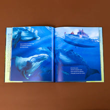 Load image into Gallery viewer, illustration-of-blue-water-underneath-a-boat-with-humpback-whales-swiming