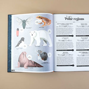illustrations-titled-polar-regions-little-auk-wood-frong-polar-bear-walrus-northern-collarded-lemming-artict-woolly-bear-moth