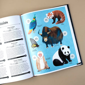 interior-page-of-colorful-red-panda-giant-panda-himalayan-monal-golden-birdwing-butterfly-japanese-macaque-and wild-yak-illustrations