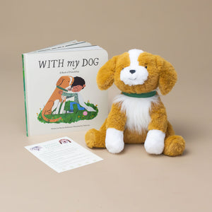 plush-dog-brown-and-white-with-green-collar-with-book
