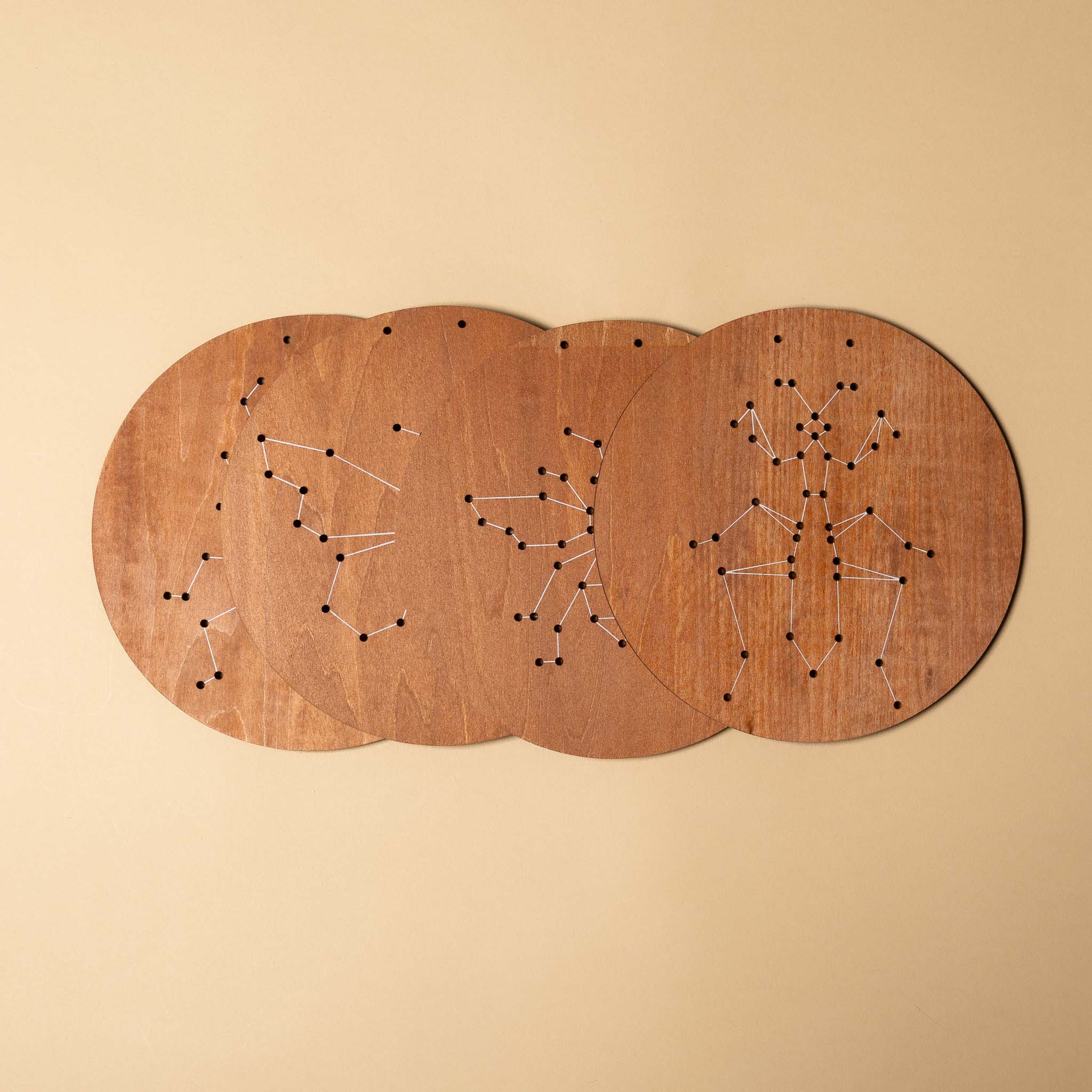 wooden-embroidery-kit-insects boards on a beige background