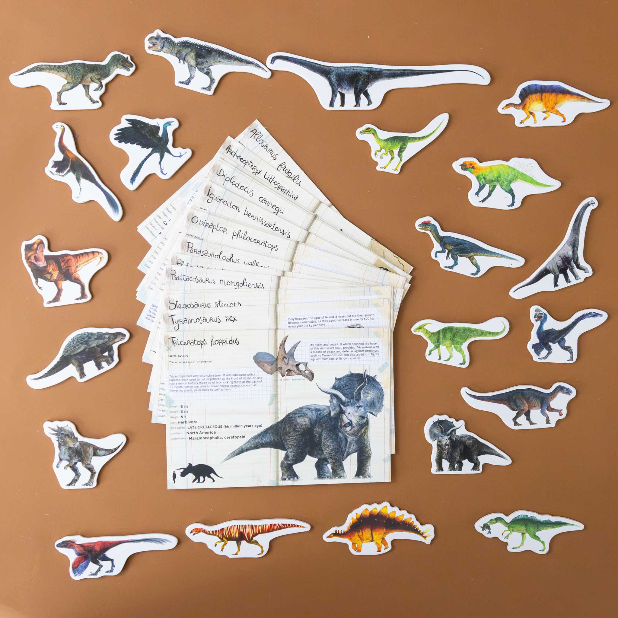 wooden-magnet-set-dinosaurs-display-of-magnets-and-information-cards