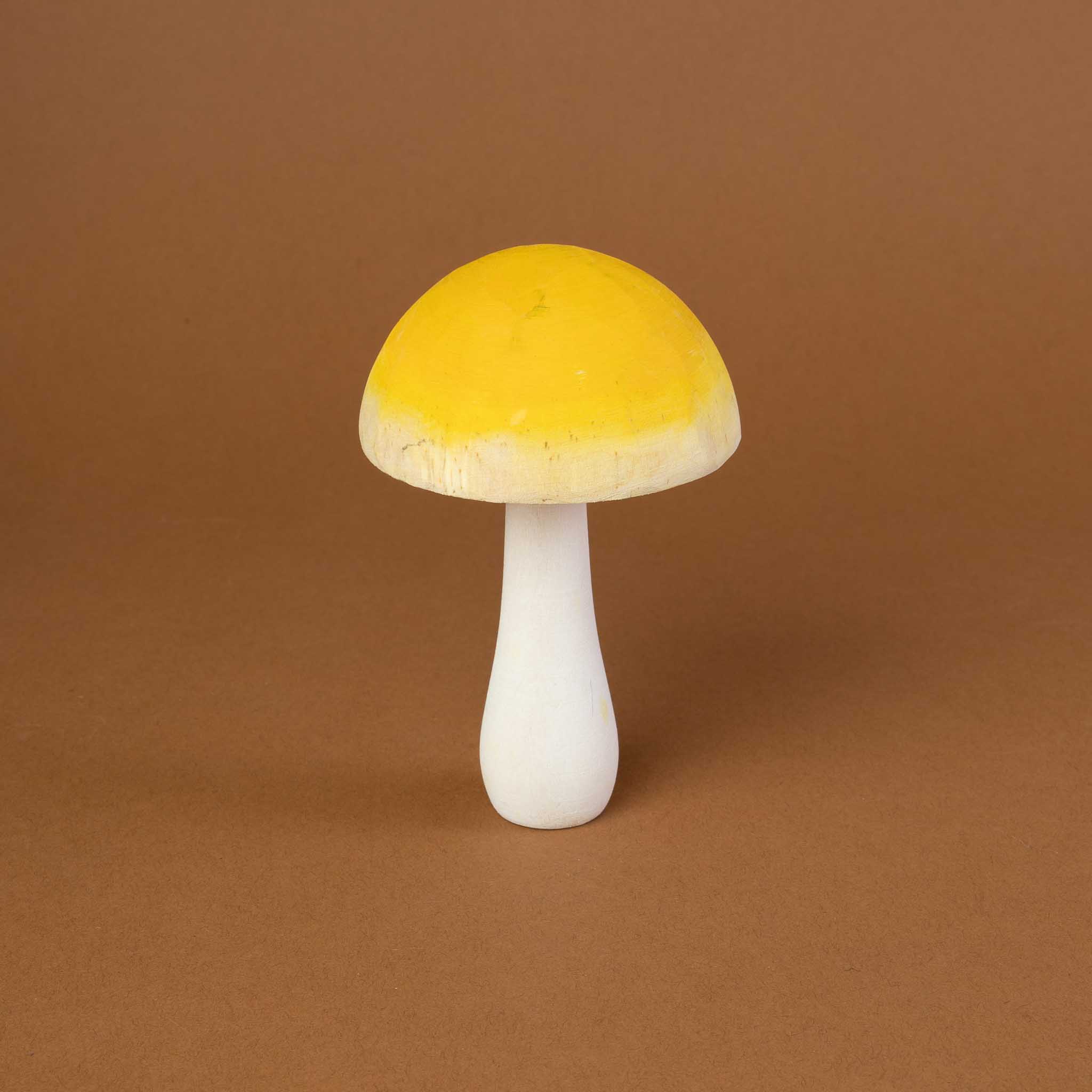 Wooden Mushroom Collection | Set of 6