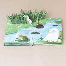 Load image into Gallery viewer, pop-up-of-a-bunny-coming-out-to a-water-bank-with-a-turtle-and-a-swan