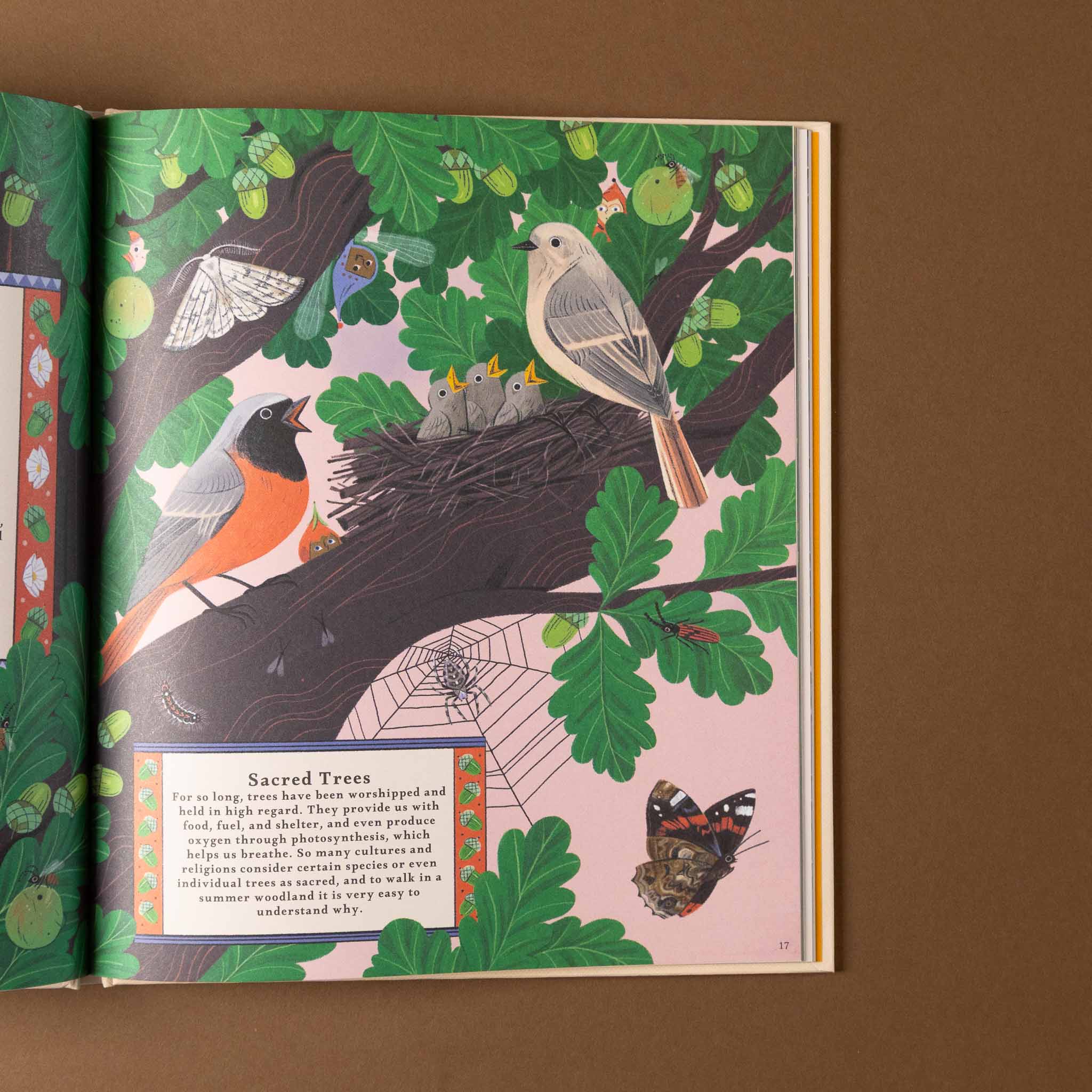 Illustrated woodlore book open to a page with birds, trees, and nature-themed artwork on a brown background.