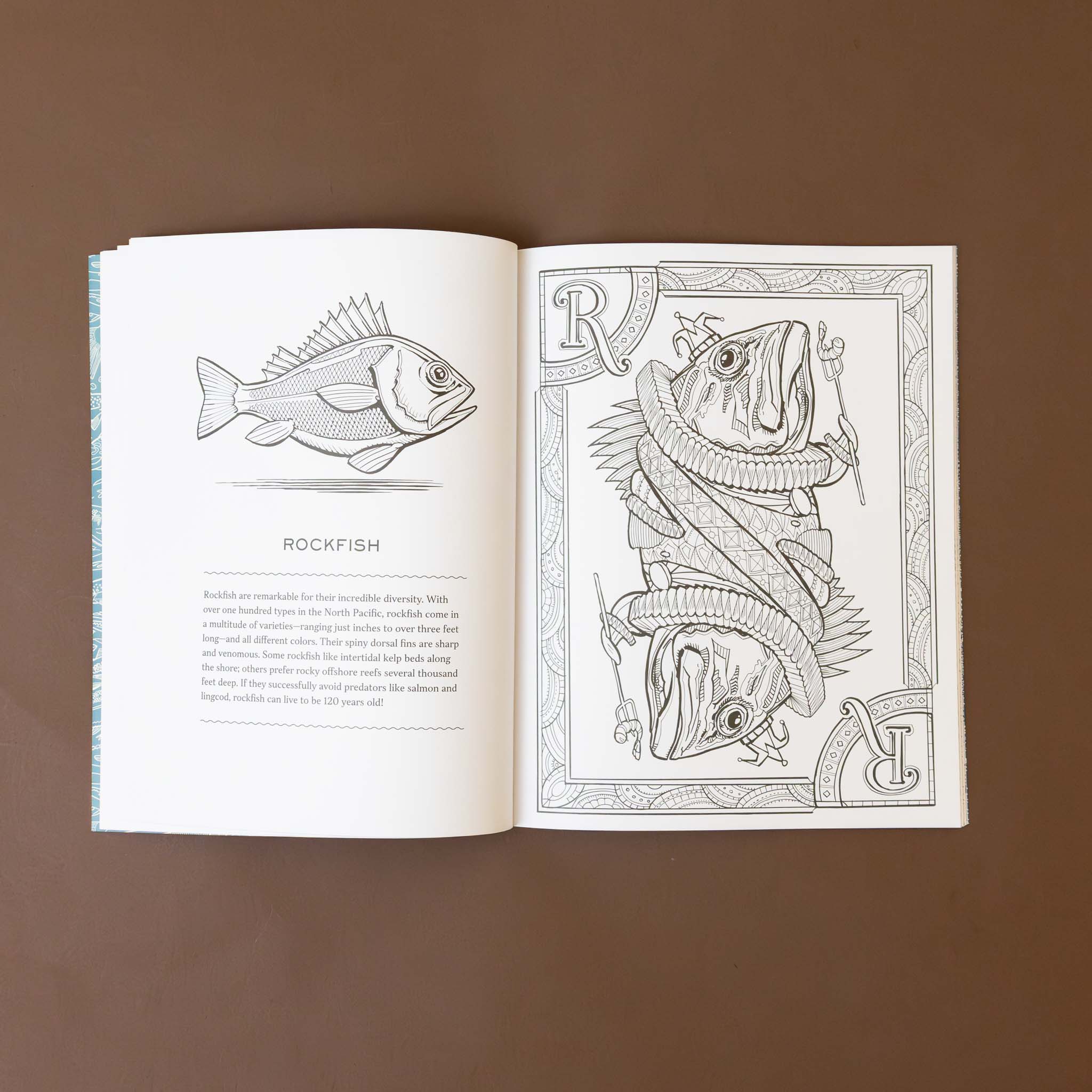 Working Boats Coloring Book