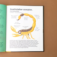 Load image into Gallery viewer, deathstalker-scorpion-with-text-and-illustration