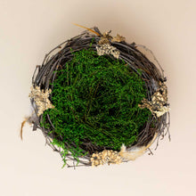 Load image into Gallery viewer, wren-nest-large-with-green-moss-interior-and-stick-body