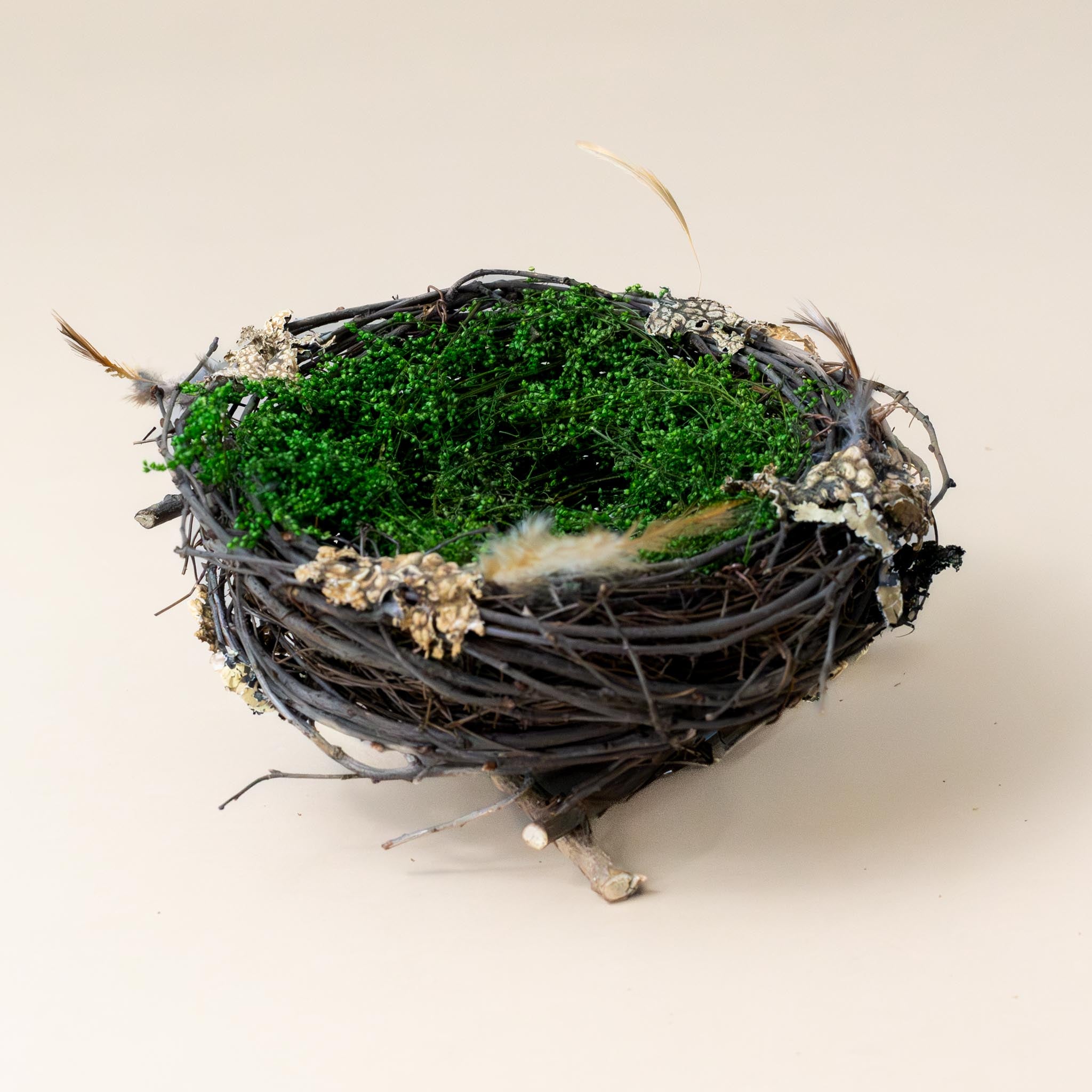 wren-nest-large-with-green-moss-interior-and-stick-body