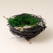 Load image into Gallery viewer, wren-nest-large-with-green-moss-interior-and-stick-body