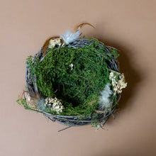 Load image into Gallery viewer, inside-of-wrens-nest-from-above