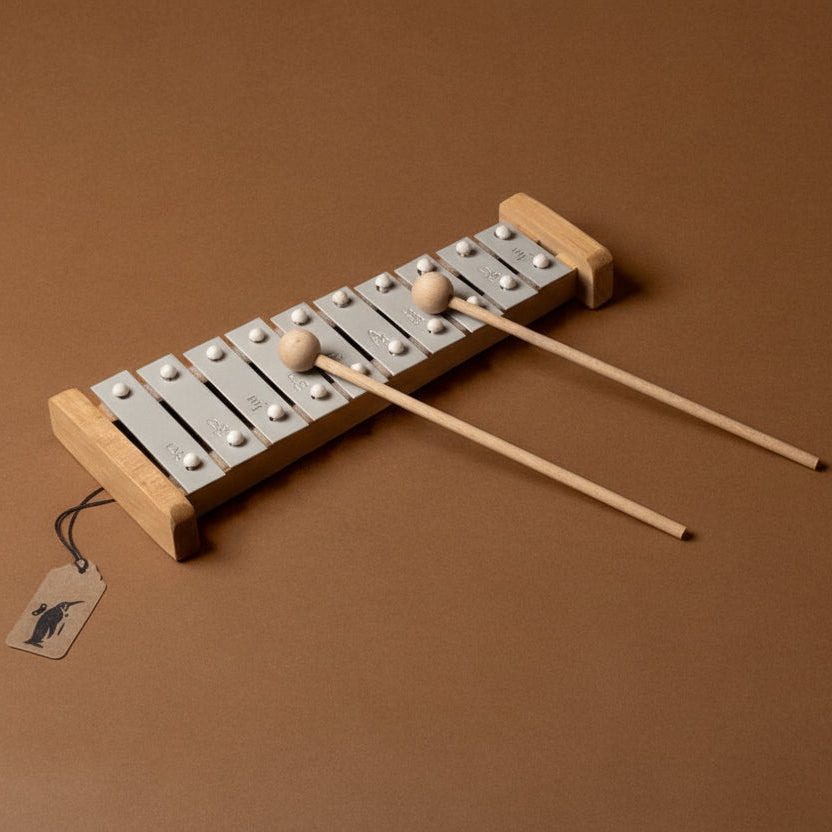 Wooden xxylophone-10-note with two mallets on a brown background