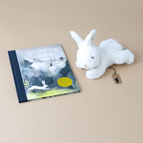 you-belong-here-gift-set-bunny-and-book