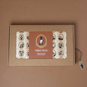 animal-portrait-wooden-blocks-in-packaging