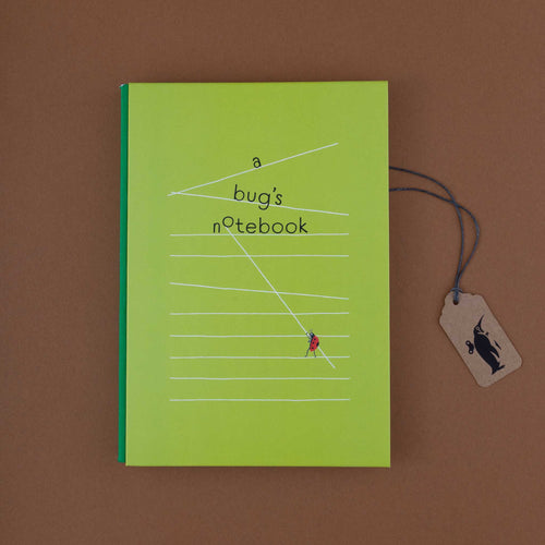 green-notebook-with-ladybug-moving-lines