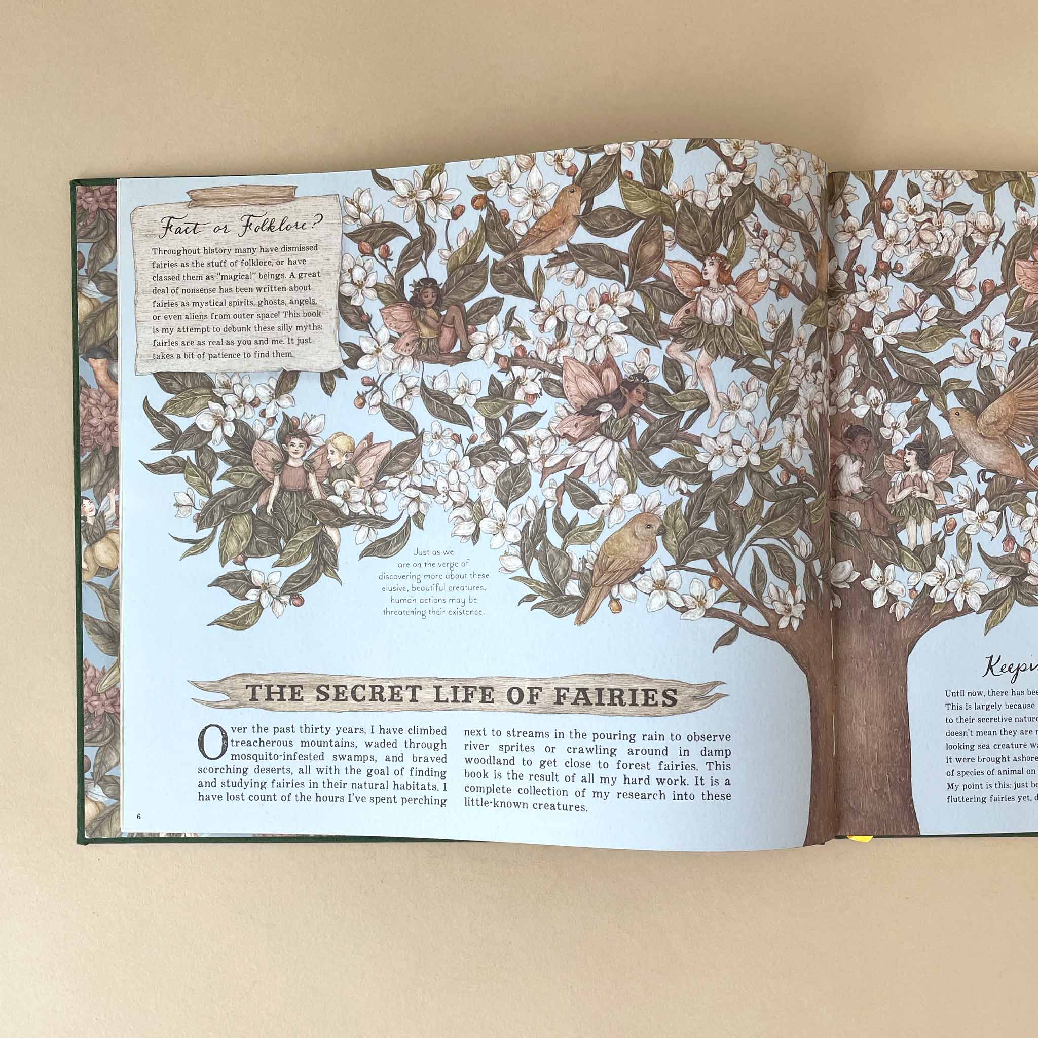 interior-page-illustrated-with-fairies-in-a-tree