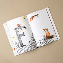 Load image into Gallery viewer, ABC Dream Book - Books (Children&#39;s) - pucciManuli