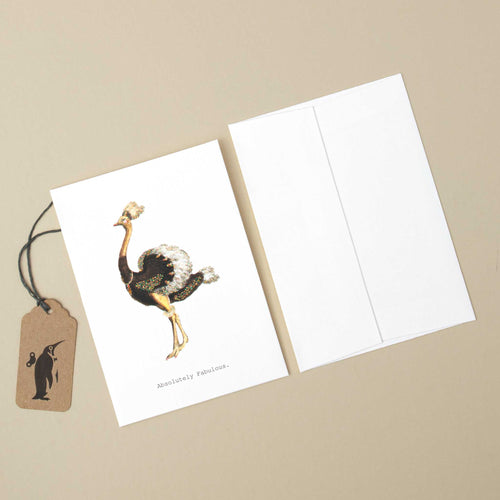 white-card-with-fancy-ostrich-and-black-text-reading-absolutely-fabulous