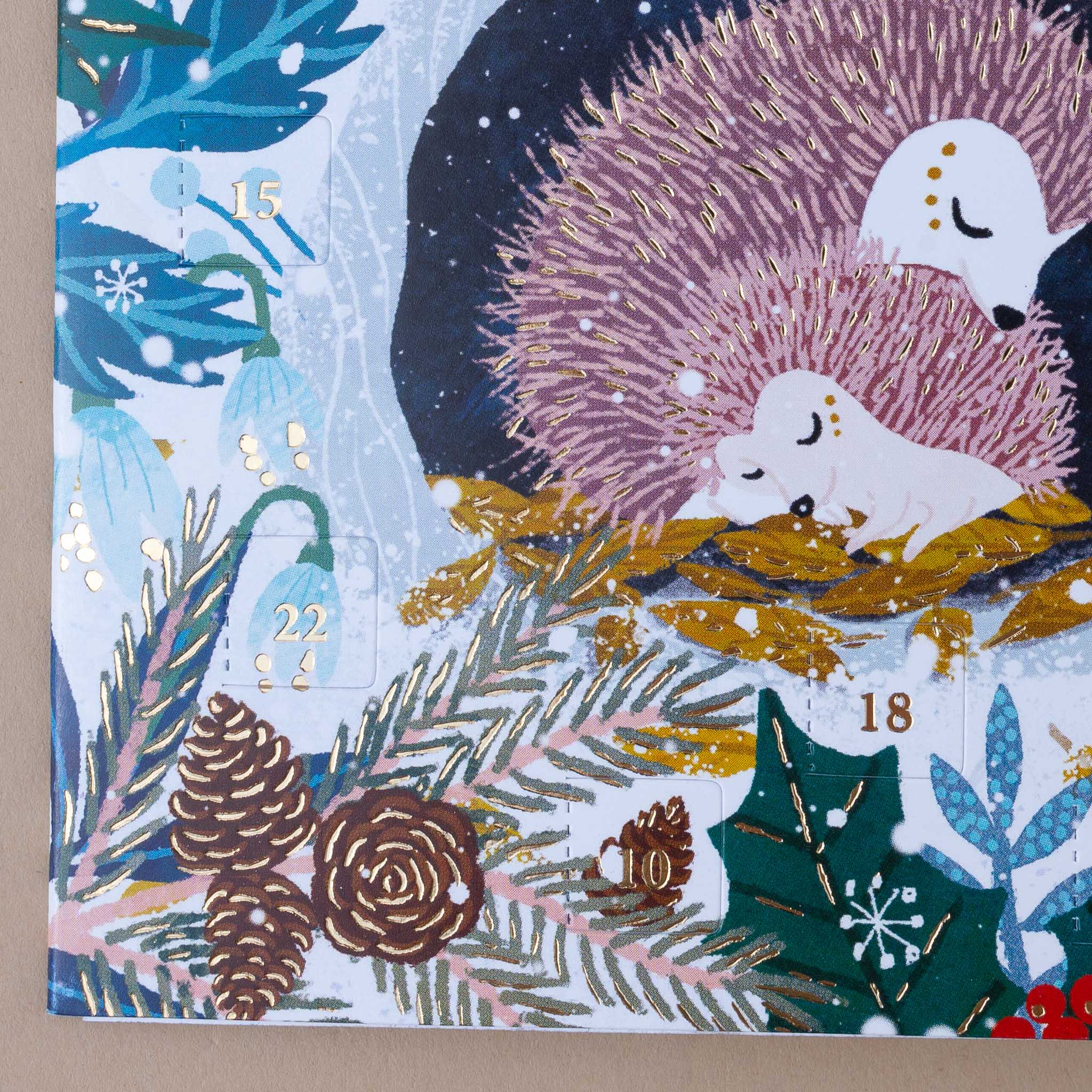 close-up-of-hedgehogs-and-advent-calendar-windows