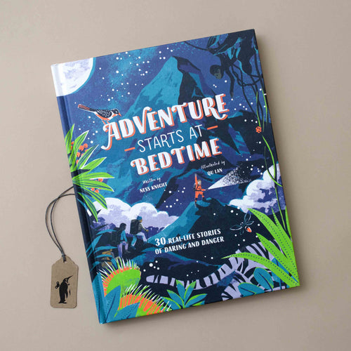 blue-illustrated-cover-adventure-starts-at-bedtime
