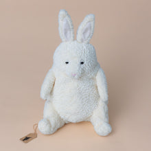 Load image into Gallery viewer, amore-bunny-stuffed-animal