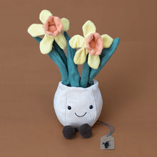 Load image into Gallery viewer, amuseable-daffodil-potted