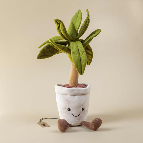 green-dragon-tree-in-a-grey-flowerpot-with-brown-legs-and-smiley-face