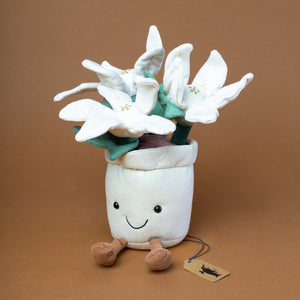 white-poinsettia-flowers-in-white-gold-pot-with-smile-and-brown-boots