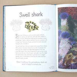 inside-pages-swell-shark