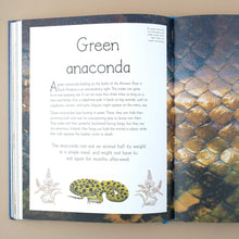 Load image into Gallery viewer, inside-pages-green-anaconda