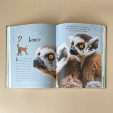 Load image into Gallery viewer, Interior-two-page-spread-about-Lemurs