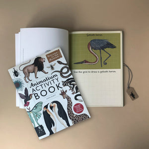 animalium-activity-book-with-art-by-katie-scott-goliath-heron-drawing-page