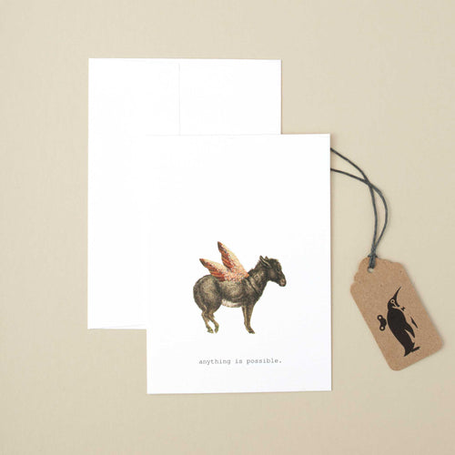 white-card-illustrated-donkey-with-pink-wings-and-black-text-reading-anything-is-possible