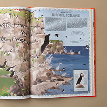 Load image into Gallery viewer, inside-page-puffins-from-iceland