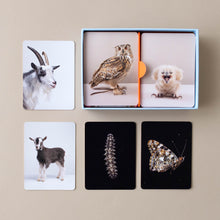 Load image into Gallery viewer, interior-card-examples-goat-and-kid-caterpillar-and-butterfly