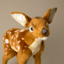 Load image into Gallery viewer, close-up-of-bambi-kid-standing-face