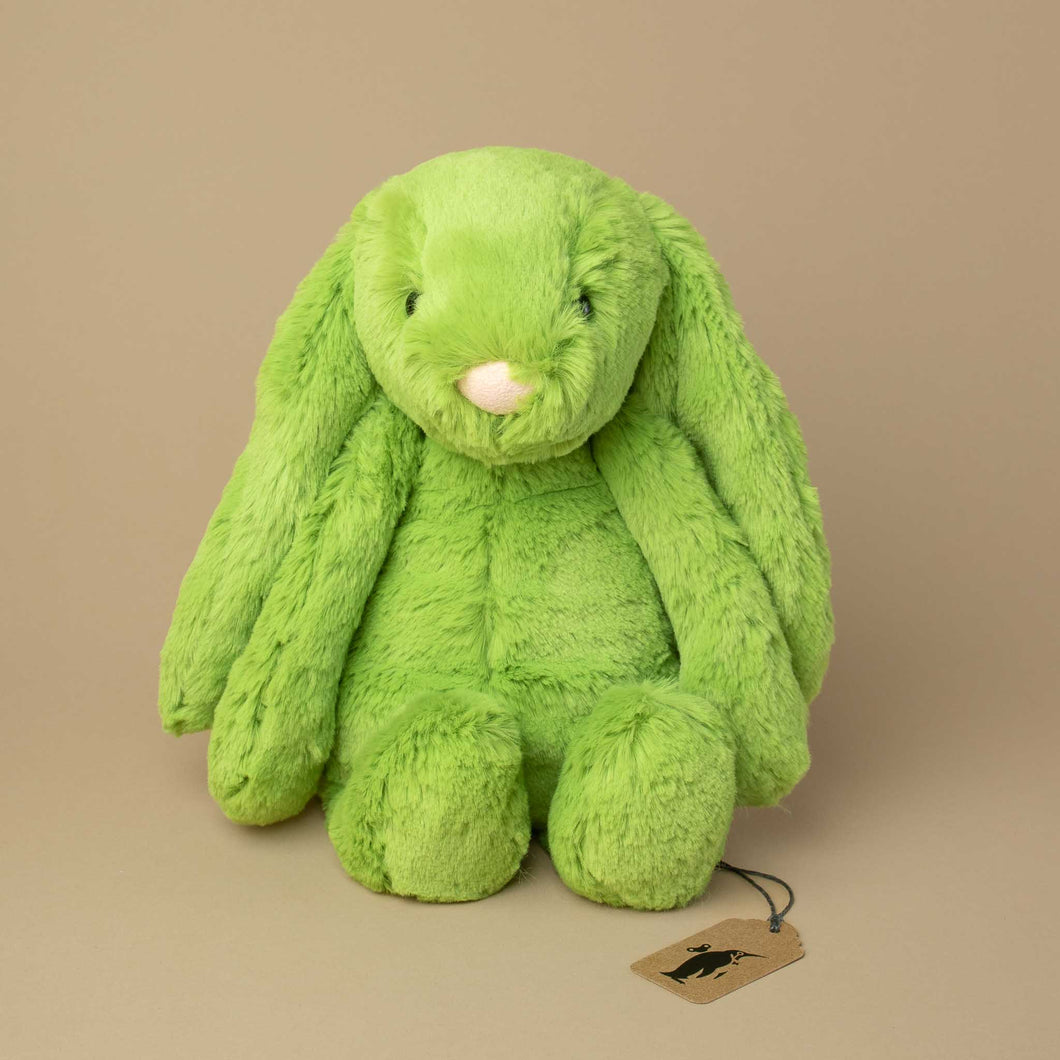 apple-green-bunny-with-long-floppy-ears-and-pink-nose