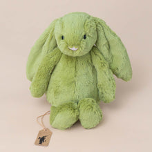 Load image into Gallery viewer, bashful-bunny-moss-medium-stuffed-animal