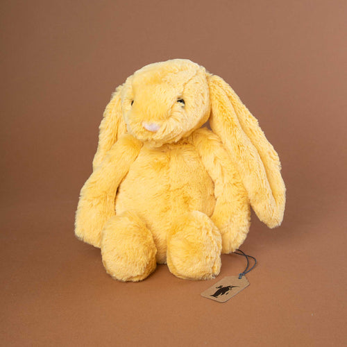 yellow-colored-bunny-with-long-flopsy-ears-sitting-on-brown-background