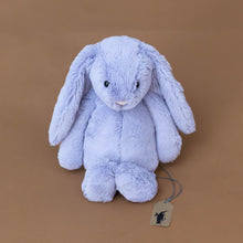 Load image into Gallery viewer, bashful-bunny-viola-small-stuffed-animal