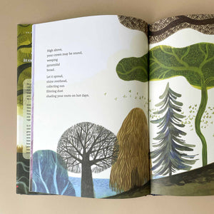 Be-a-tree-inside-pages-illustrated-different-types-of-trees