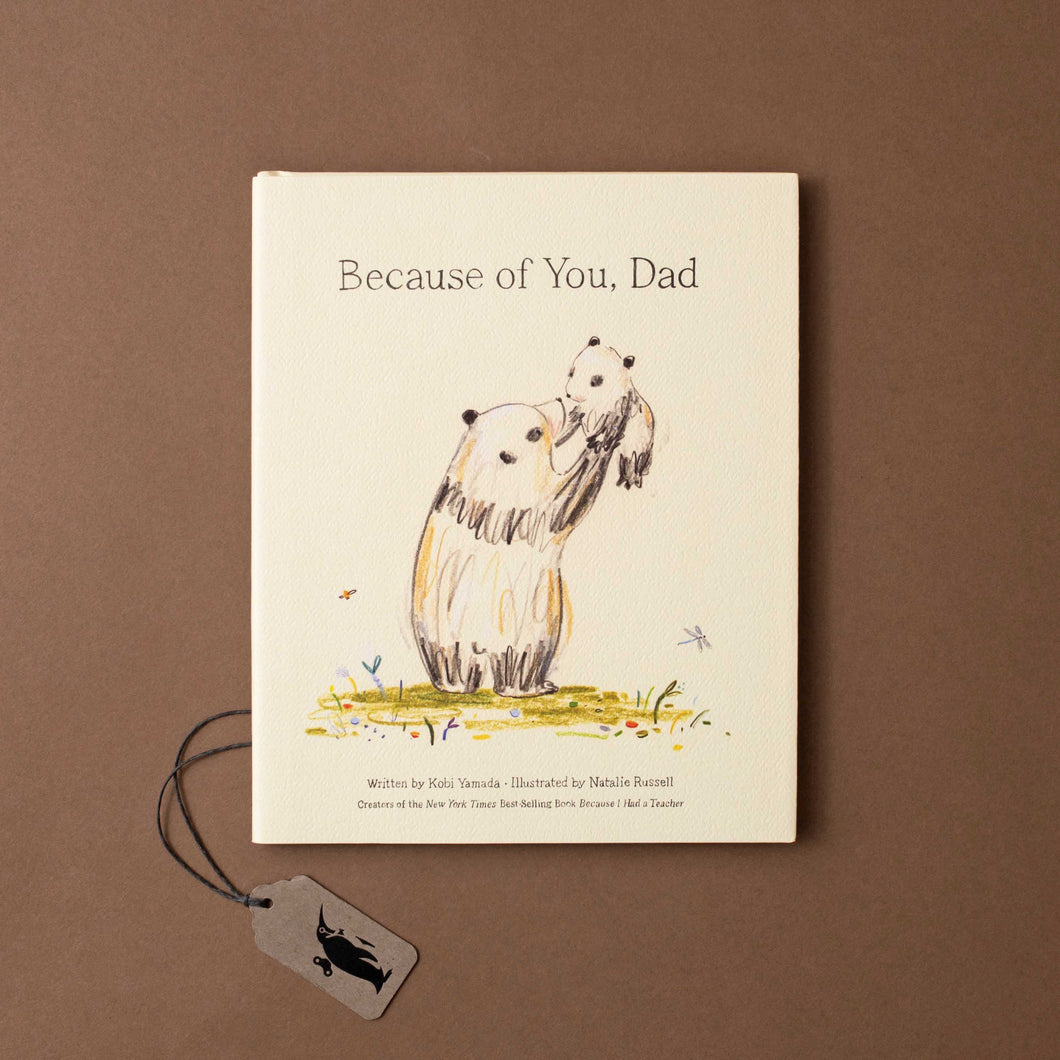 because-of-you-dad-front-cover-illustrated-with-adult-and-baby-panda
