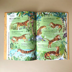 interior-page-tigers